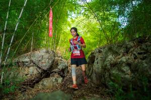 BIB: 
                            <button type="button" onclick="openModal(22088472)" class="btn btn-primary btn-sm float-right btn-popup" data-toggle="modal" data-target=".modal-high-quality">
                        <i class="fas fa-shopping-cart"></i> Add to Cart
                    </button>
                                            <button type="button" onclick="isThisMe(22088472, true)" class="btn btn-success btn-sm float-right btn-popup btn-isme hidden" data-toggle="tooltip" data-placement="bottom" title="นี่คือรูปของคุณใช่ไหม คลิกที่นี่เพื่อเอาเข้าอัลบั้ม">
                        <i class="fas fa-plus"></i> Add to album
                    </button>
                    <button type="button" onclick="isThisMe(22088472, false)" class="btn btn-warning btn-sm float-right btn-popup btn-isnotme hidden">
                        <i class="fas fa-ban"></i> Remove from album
                    </button>